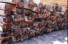 kayu termahal