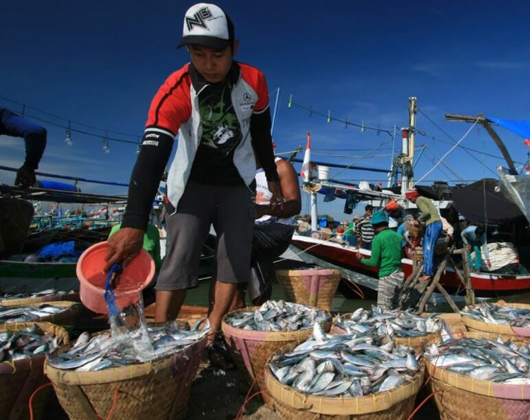 berapa gaji nelayan